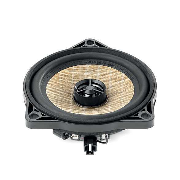  Focal IC T3Y 100 – цена, описание и отзывы — фото