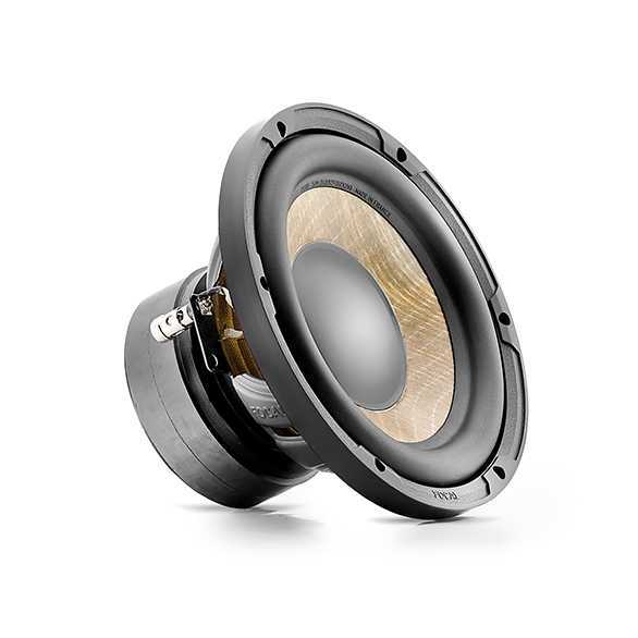  Focal P20FE – цена, описание и отзывы — фото