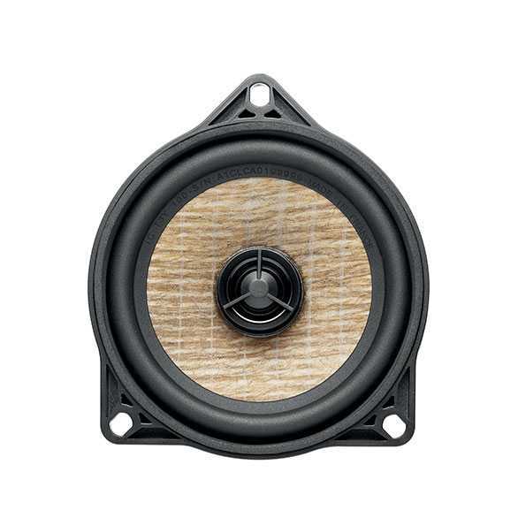  Focal IC T3Y 100 – цена, описание и отзывы — фото