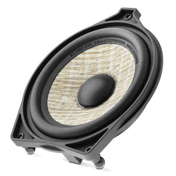 Focal ICC MBZ 100 – цена, описание и отзывы — фото
