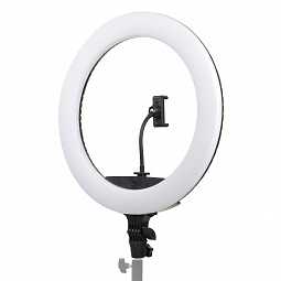 Осветитель Осветитель кольцевой Falcon Eyes BeautyLight 450R LED – цена, описание и отзывы — фото
