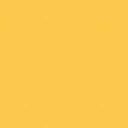 Фотофоны Фон бумажный Falcon Eyes BackDrop 2.72x10 желтый (14) – цена, описание и отзывы — фото