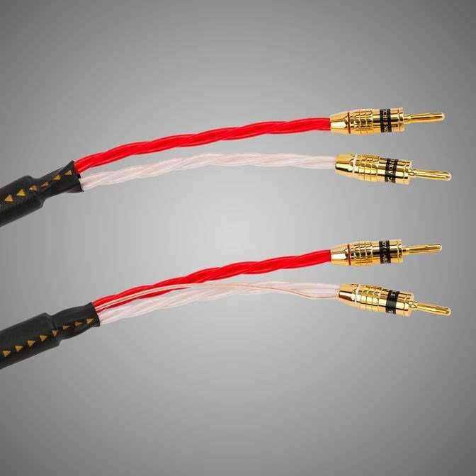  Tchernov Cable Reference DSC SC Bn/Bn (3.1 m) – цена, описание и отзывы — фото
