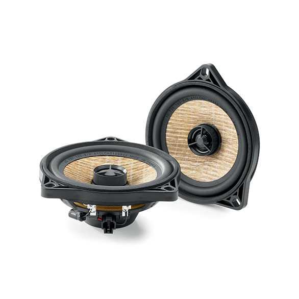  Focal IC T3Y 100 – цена, описание и отзывы — фото