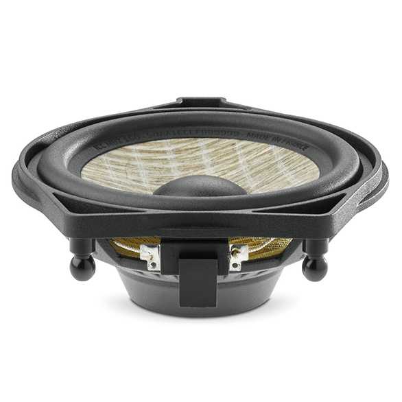  Focal ICC MBZ 100 – цена, описание и отзывы — фото
