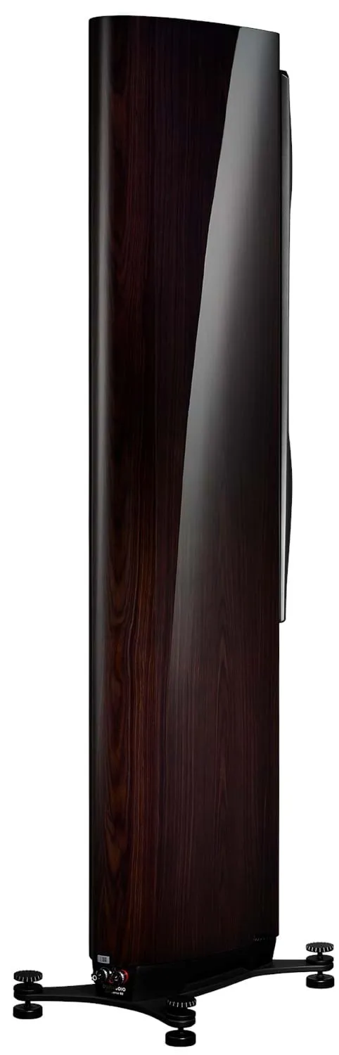 Напольная акустическая система Dynaudio Confidence 50 Raven wood high gloss – цена, описание и отзывы — фото