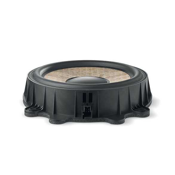  Focal IW T3Y 200 – цена, описание и отзывы — фото