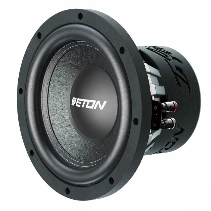  Eton PW 8 – цена, описание и отзывы — фото