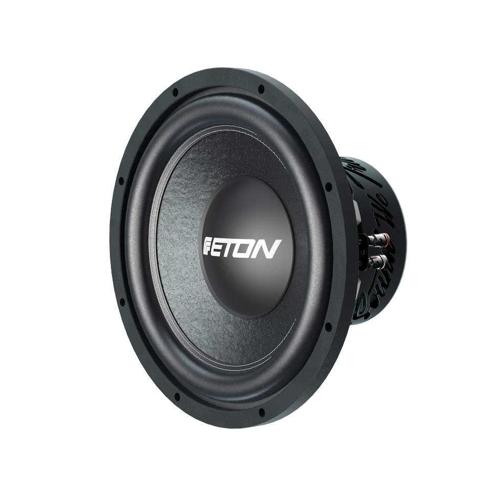  Eton PW 12 – цена, описание и отзывы — фото