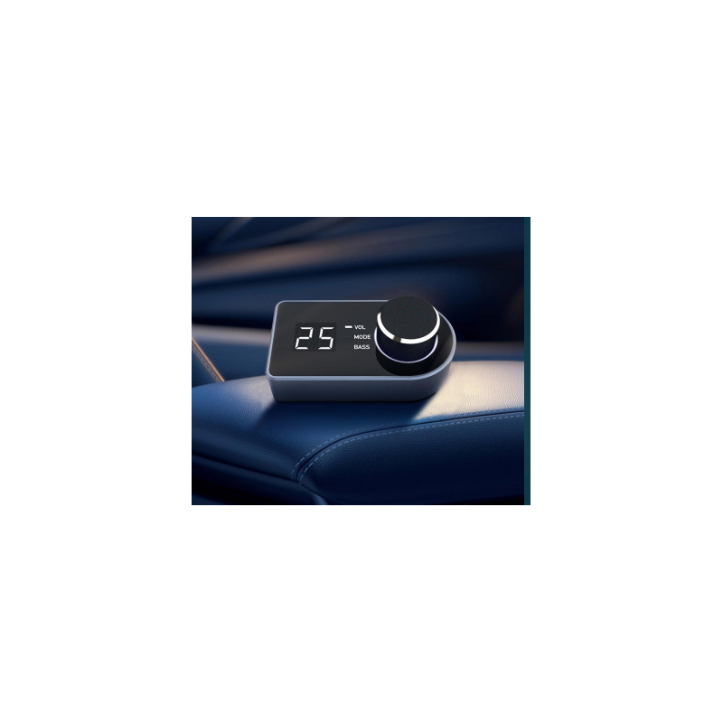  GOLDHORN DSP Remote Controller – цена, описание и отзывы — фото