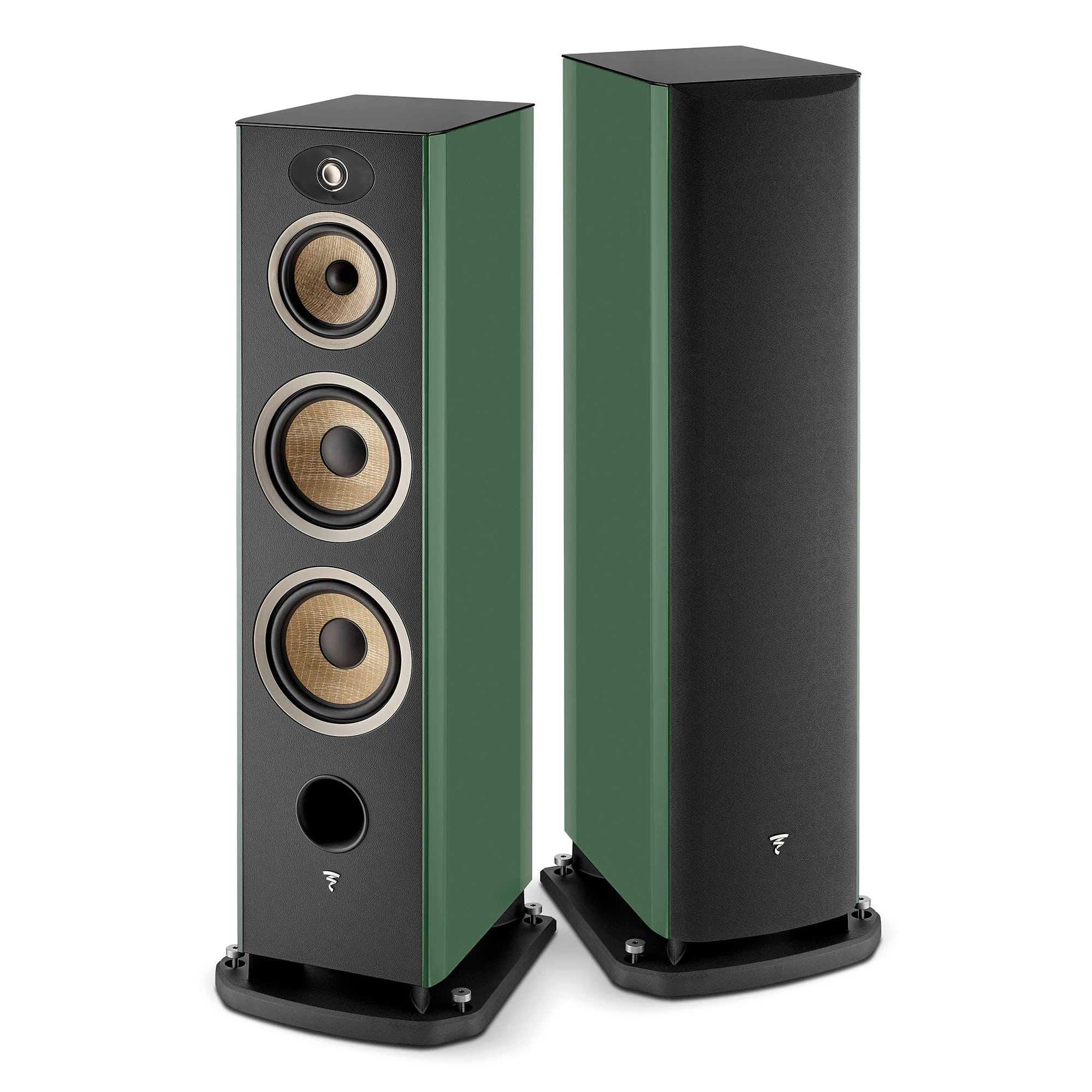  Focal ARIA EVO X N4 Moss High Gloss – цена, описание и отзывы — фото