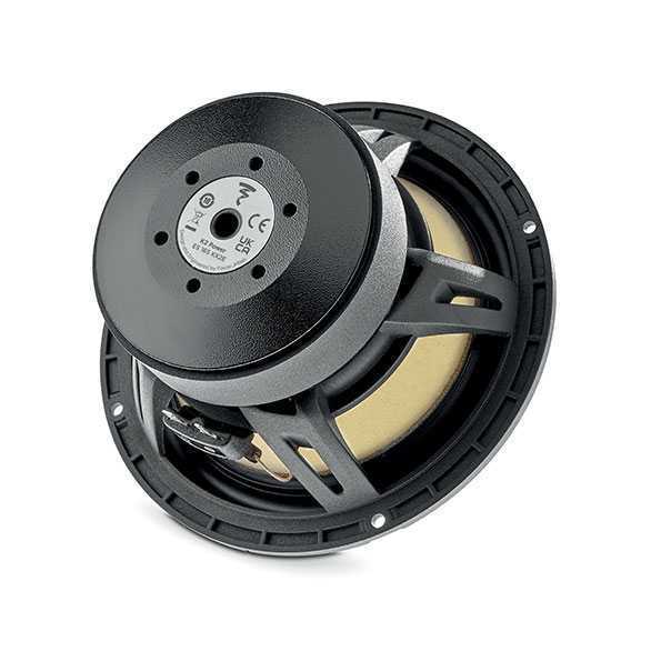  Focal ES 165 KX2 EVO – цена, описание и отзывы — фото
