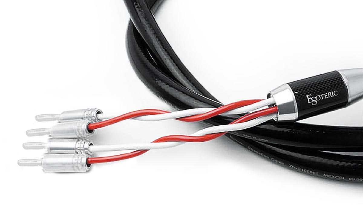 Акустический кабель Esoteric 7N - S10000II Mexel Bi-Wiring Banana - Banana – цена, описание и отзывы — фото
