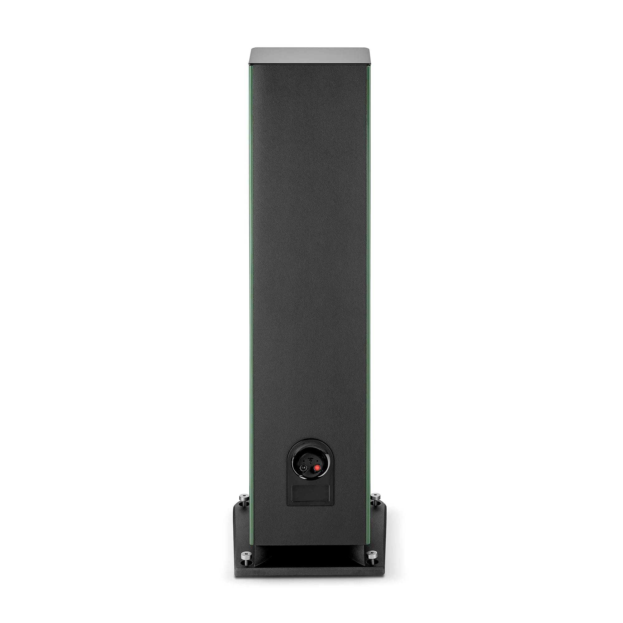  Focal ARIA EVO X N4 Moss High Gloss – цена, описание и отзывы — фото