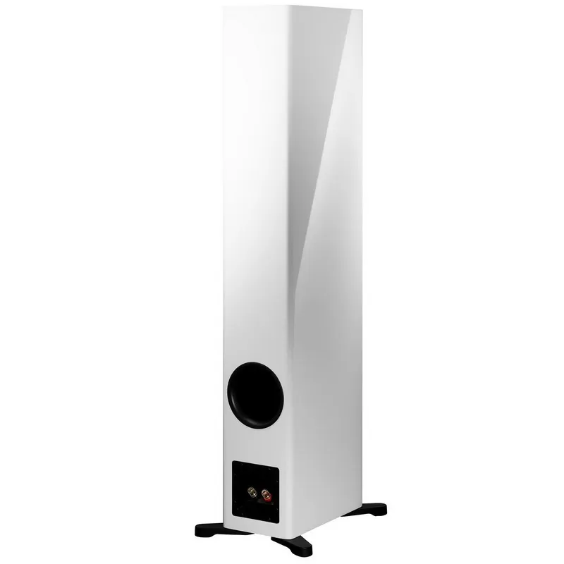 Напольная акустическая система Dynaudio Evoke 50 White high gloss – цена, описание и отзывы — фото