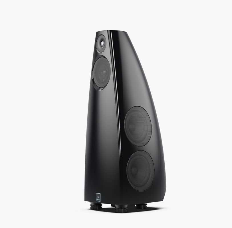  Meridian Audio DSP 9 Gloss Black – цена, описание и отзывы — фото