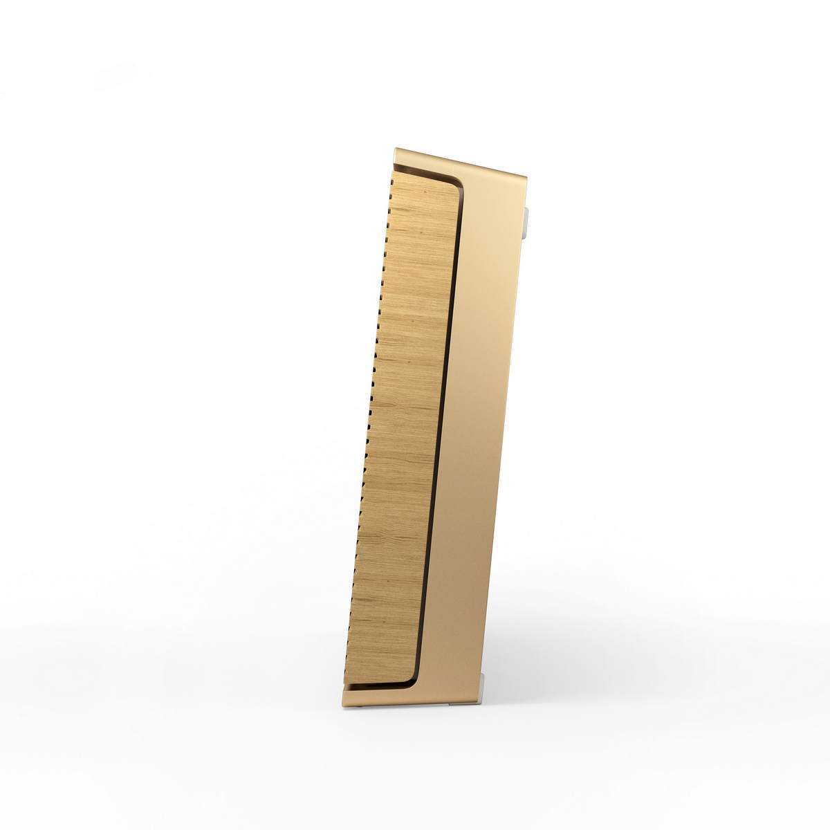 Беспроводная акустическая система Bang & Olufsen Beosound Level Gold Tone/Light Oak – цена, описание и отзывы — фото