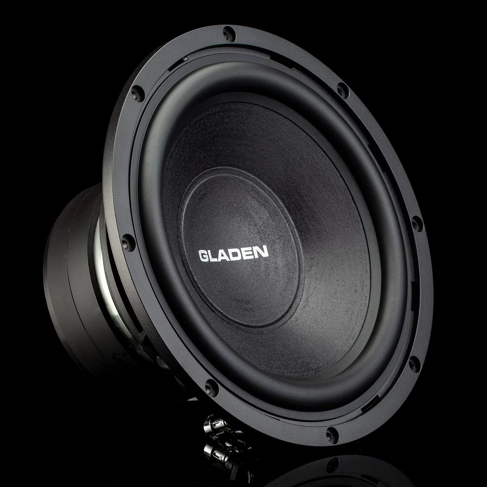  Gladen PRO 10 – цена, описание и отзывы — фото