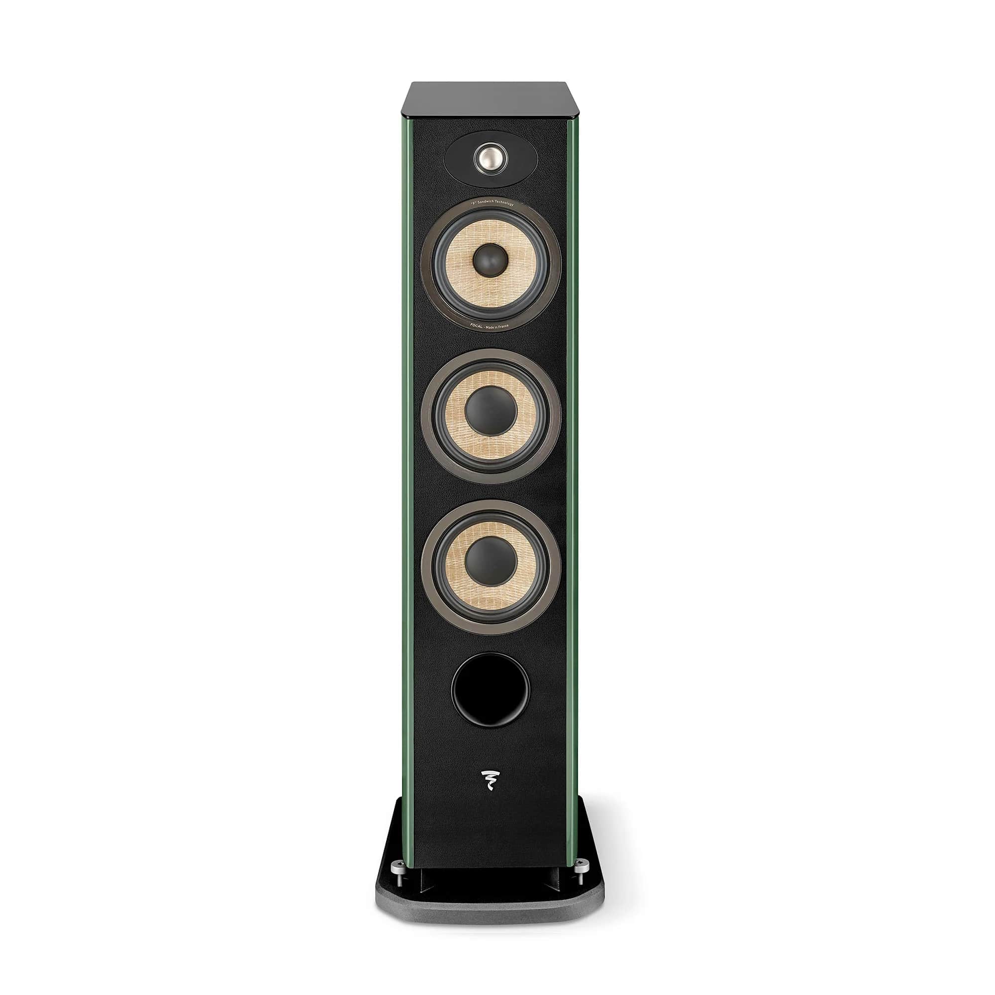  Focal ARIA EVO X N2 Moss High Gloss – цена, описание и отзывы — фото