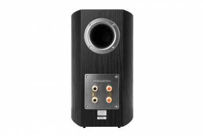 Полочная акустика PREMIERA Delta DS-601 Black – цена, описание и отзывы — фото