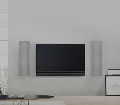 Встраиваемая акустическая система Origin Acoustics & Bang & Olufsen BOPTHTR66 – цена, описание и отзывы — фото