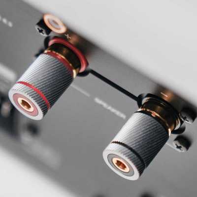 Усилитель AVM Audio SA 8.3 Black – цена, описание и отзывы — фото