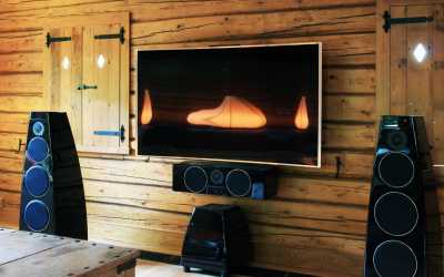Сабвуфер Meridian Audio DSW.2 – цена, описание и отзывы — фото