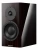 Полочная акустика Dynaudio Special Forty Black vine high gloss – цена, описание и отзывы — фото